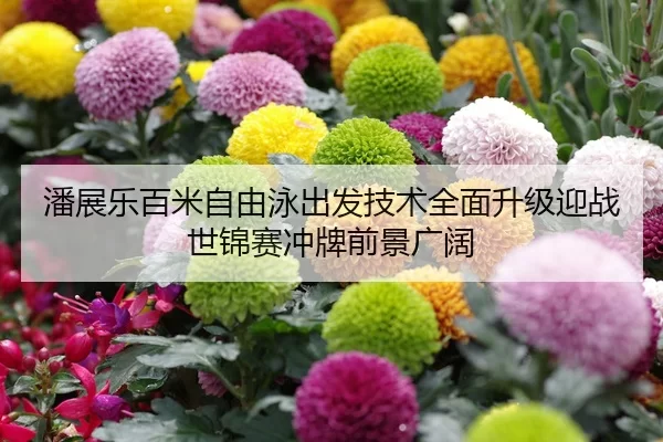 潘展乐百米自由泳出发技术全面升级迎战世锦赛冲牌前景广阔