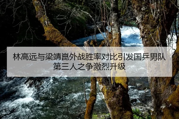 林高远与梁靖崑外战胜率对比引发国乒男队第三人之争激烈升级