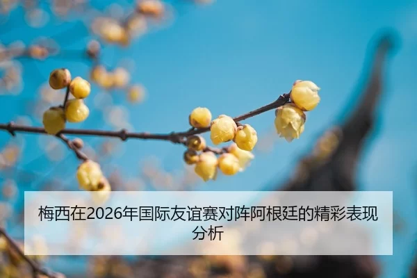 mei-xi-zai-nian-guo-ji-you-yi-sai-dui-zhen-a-gen-ting-de-jing-cai-biao-xian-fen-xi-2-922.jpg
