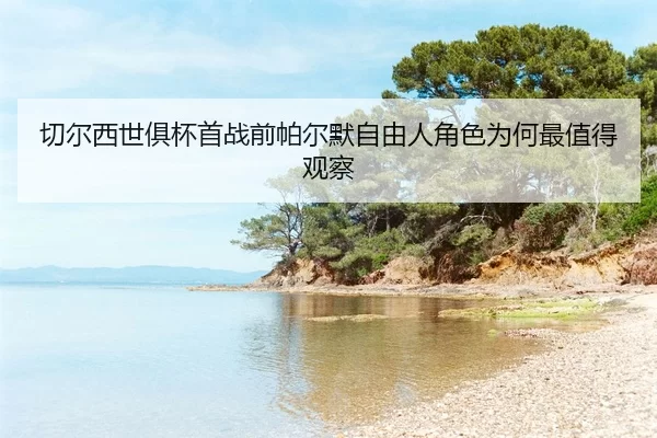 qie-er-xi-shi-ju-bei-shou-zhan-qian-pa-er-mo-zi-you-ren-jue-se-wei-he-zui-zhi-de-guan-cha-2-950.jpg