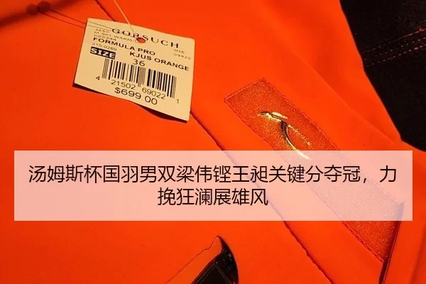汤姆斯杯国羽男双梁伟铿王昶关键分夺冠，力挽狂澜展雄风
