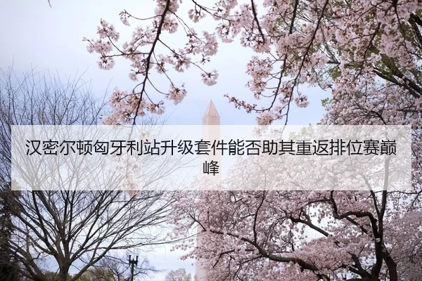han-mi-er-dun-xiong-ya-li-zhan-sheng-ji-tao-jian-neng-fou-zhu-qi-chong-fan-pai-wei-sai-dian-feng-2-941.jpg