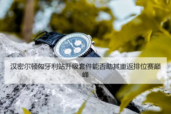 han-mi-er-dun-xiong-ya-li-zhan-sheng-ji-tao-jian-neng-fou-zhu-qi-chong-fan-pai-wei-sai-dian-feng-3-295.jpg